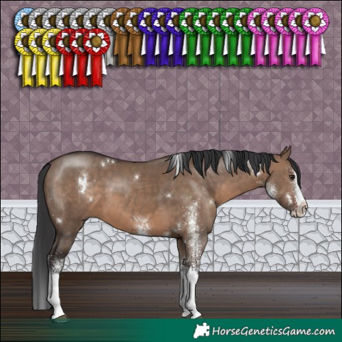 Horse Color:White Spotted Brown Dun Splash Rabicano 