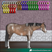 Horse Color:White Spotted Brown Dun Splash Rabicano 