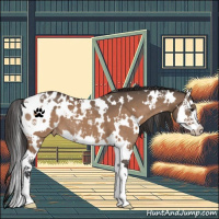 Horse Color:White Spotted Brown Dun Sabino Splash Appaloosa 