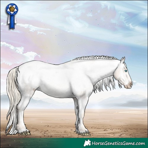 Horse Color:White Spotted Chocolate Palomino Pearl Appaloosa 