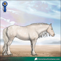 Horse Color:White Spotted Chocolate Palomino Pearl Varnish 
