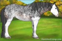 Horse Color:White Spotted Brown Splash 
