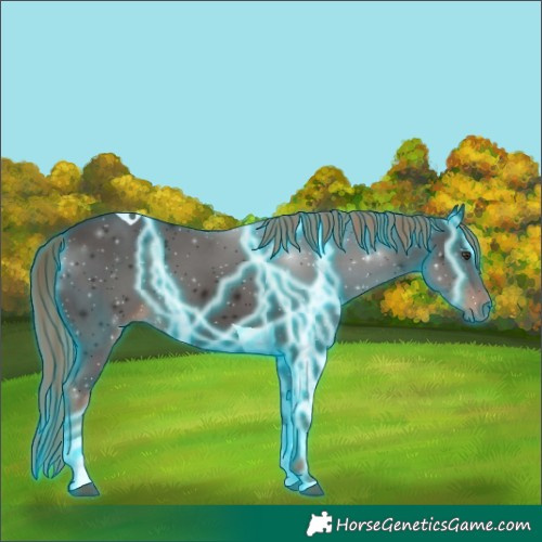 Horse Color:Thunderstruck Liver Chestnut Tobiano 