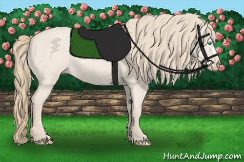 Horse Color:Smoky Creme Roan Dun