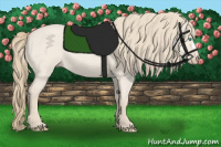 Horse Color:Smoky Creme Roan Dun 