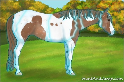 Horse Color:Thunderstruck Chestnut Tobiano 