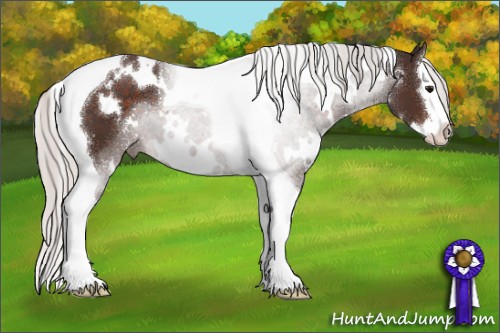 Horse Color:White Spotted Silver Brown Splash Tobiano 