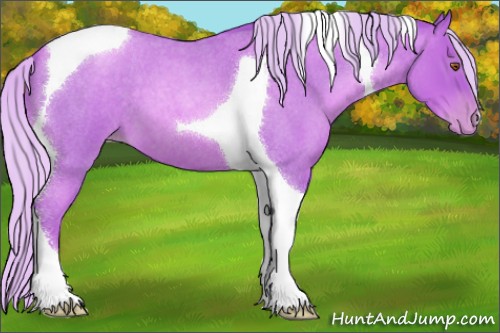 Horse Color:Watercolor Silver Blue Roan Pearl Tobiano 