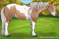 Horse Color:Silver Brown Pearl Splash Tobiano 