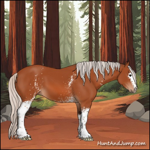 Horse Color:White Spotted Silver Bay 