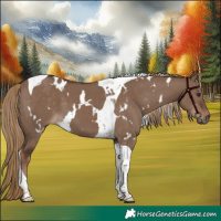 Horse Color:White Spotted Liver Red Dun Tobiano 