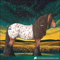Horse Color:Bay Near Leopard 