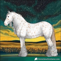 Horse Color:Chestnut Leopard 