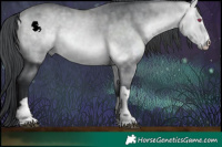 Horse Color:Bay Chinchilla 