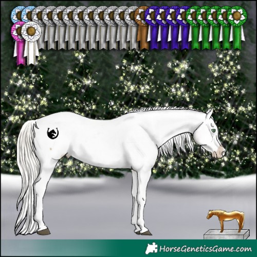 Horse Color:White Spotted Silver Buckskin Dun Splash Tobiano Appaloosa Rabicano 