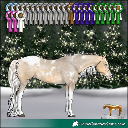 Horse Color:White Spotted Silver Buckskin Dun Splash Tobiano Appaloosa Rabicano 