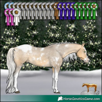 Horse Color:White Spotted Silver Buckskin Dun Splash Tobiano Appaloosa Rabicano