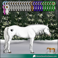Horse Color:White Spotted Silver Buckskin Dun Splash Tobiano Appaloosa Rabicano