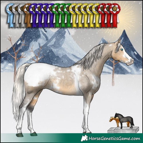 Horse Color:White Spotted Silver Buckskin Dun Splash Tobiano Snowcap Rabicano