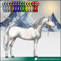 Horse Color:White Spotted Silver Buckskin Dun Splash Tobiano Appaloosa Rabicano 