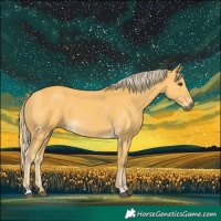 Horse Color:Palomino
