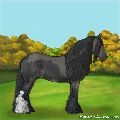 Horse Color:Black and Grullo