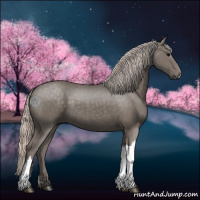 Horse Color:Silver Black 