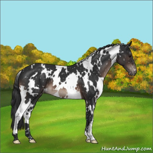 Horse Color:White Spotted Brown Mushroom Snowflake Varnish