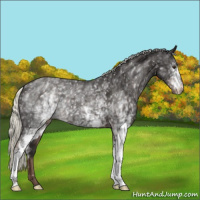 Horse Color:White Spotted Liver Chestnut Mushroom Snowflake Varnish
