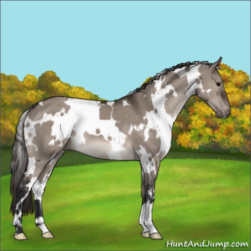 Horse Color:White Spotted Brown Dun Mushroom Varnish