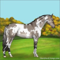 Horse Color:White Spotted Brown Dun Mushroom Varnish 