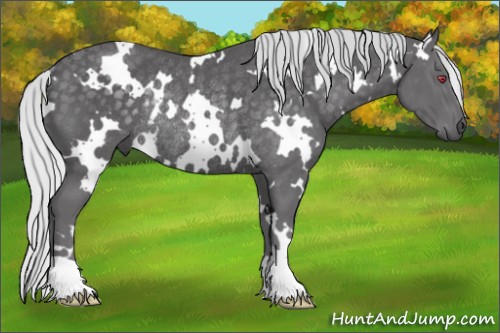 Horse Color:White Spotted Silver Smoky Black Chinchilla Rabicano 