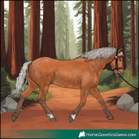 Horse Color:Silver Bay 