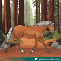 Horse Color:Silver Bay