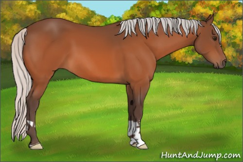 Horse Color:Silver Brown 