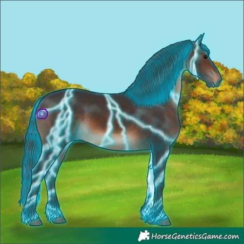 Horse Color:Thunderstruck Brown 