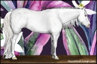Horse Color:Silver Classic Champagne Roan Dun Splash Frame Appaloosa Rabicano