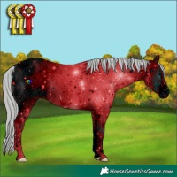 Horse Color:ERROR: UNKNOWN ANOMALY