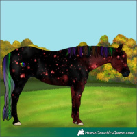 Horse Color:ERROR: UNKNOWN ANOMALY