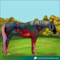 Horse Color:ERROR: UNKNOWN ANOMALY