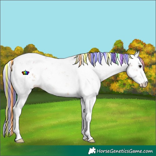 Horse Color:Painted Watercolor Bay Sabino 