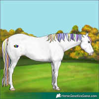 Horse Color:Painted Watercolor Bay Sabino 