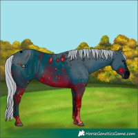 Horse Color:ERROR: UNKNOWN ANOMALY