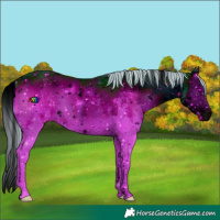 Horse Color:ERROR: UNKNOWN ANOMALY