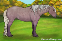 Horse Color:Silver Bay Roan 