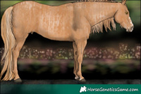 Horse Color:Chestnut Pearl Splash  Brindle