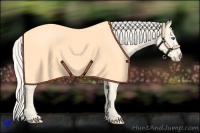 Horse Color:Cremello Splash Brindle