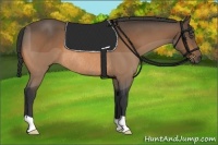 Horse Color:Buckskin Rabicano 