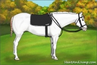 Horse Color:Bay Tobiano Appaloosa 