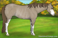 Horse Color:Smoky Grullo Sabino Varnish Rabicano